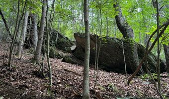 Hall Hollow Road, Austinville, VA 24312