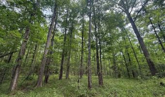 Low Water LN SW, Brookhaven, MS 39601