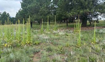 Whymans Black Lake Estates lot 39, Angel Fire, NM 87710