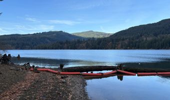 24706 NE Columbia Tie Rd 11-9, Amboy, WA 98601