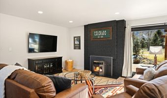24 Cherry Ln, Basalt, CO 81621