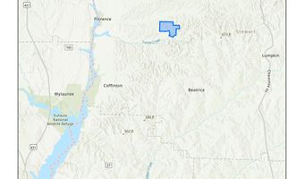 Highway 112, Abbeville, GA 31001
