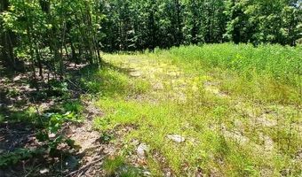 0000000 Easement, Annapolis, MO 63620