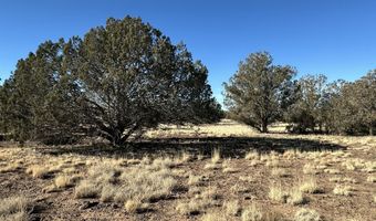 2249 Cienega Dr, Ash Fork, AZ 86320