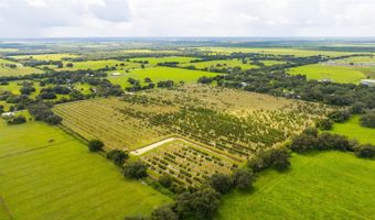 SW CARLTON Avenue, Arcadia, FL 34266
