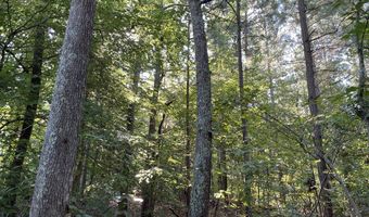 Highway 58, Baskerville, VA 23915