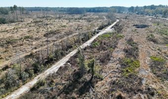 Tbd A Midway Street, Bamberg, SC 29003