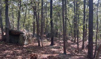 Lot 6-9 Highway 2, Antlers, OK 74523