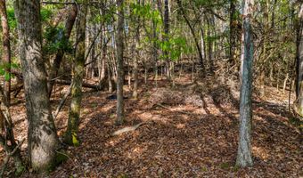 Back Nine Drive lot 13, Baneberry, TN 37890