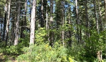 Tunnel Tract Parcel1, Banks, OR 97106