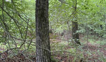 745 FOSTER Rd, Adamsville, TN 38310