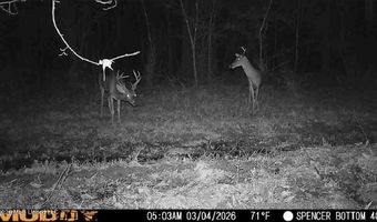 Bogue Chitto Road, Bogue Chitto, MS 39629