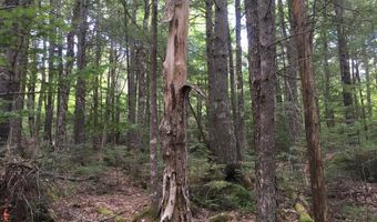 B-2BackLot Pioneer Path, Aurora, ME 04605