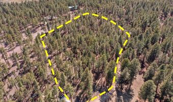 County Road 2325, Alpine, AZ 85920