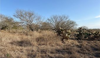 CR 119 lot 0, Alice, TX 78332