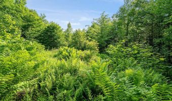 115 Stone Hill Rd, Bolton, VT 05477