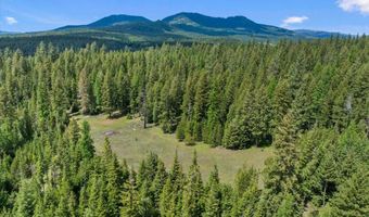 Nna Mesa Drive, Careywood, ID 83809