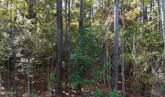 Old Pinola Braxton Rd Road, Braxton, MS 39044