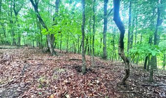 Planters Pointe Terrace, Baldwin, GA 30511