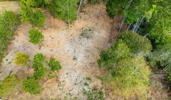 87905 ASTOR Ln, Bandon, OR 97411