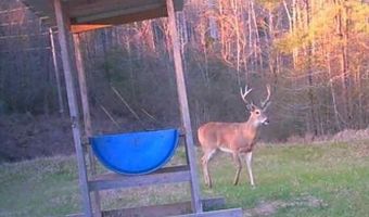 Co Rd 2337, Bay Springs, MS 39422