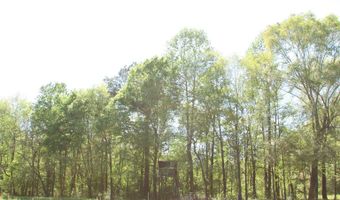 4820 COUNTY ROAD 22, Ashville, AL 35953