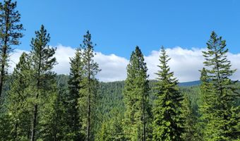 NNA Snowcat Lane, Bonners Ferry, ID 83805