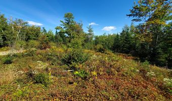 W McMann & Porcupine Hill Road lot 3, Addison, ME 04606