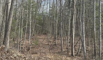 Rt. 1 Muddy Creek Mountain lot 1 & 2, Alderson, WV 24910