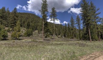 Nhn Mountain Vista Lane, Alberton, MT 59820