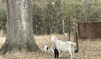 34655 Co Rd 49, Beaverton, AL 35544