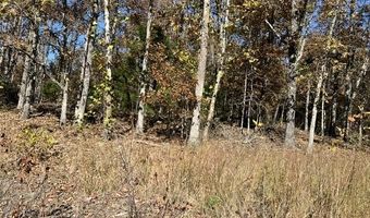 County Road P-309, Alton, MO 65606