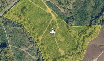 Old Courthouse Road, Appomattox, VA 24522