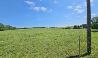 25 Acres State Highway F, Anderson, MO 64831