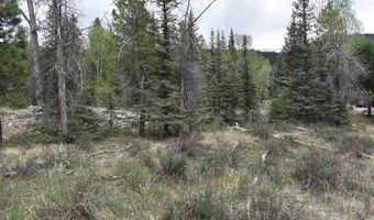 264 Ponderosa Homes Rd, Bayfield, CO 81137
