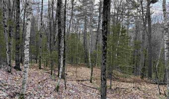 38 F Lang Rd, Bath, NH 03740
