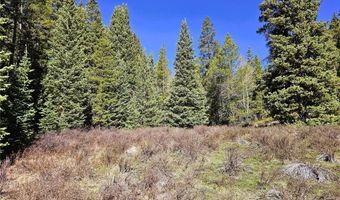 PCS # 7765 & 12057 Rollies Trail lot 0, Alma, CO 80420