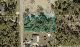 2316 Moore Ave, Alva, FL 33920