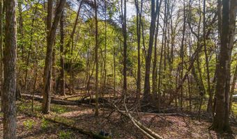 Back Nine Drive lot 13, Baneberry, TN 37890