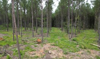 19 43 Big Rocks Rd, Antlers, OK 74523