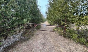 5280 Cathro Rd, Alpena, MI 49707