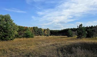 303 Westwood Rd NW, Alden, MI 49612