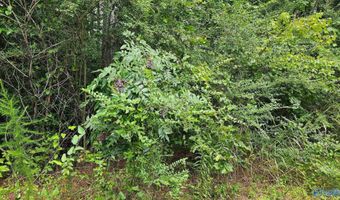 115 Christian Way, Attalla, AL 35954