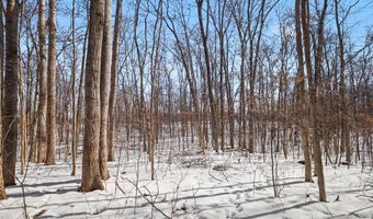 27 Mile Rd, Albion, MI 49224