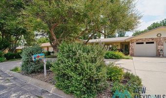 1212 Landsun Dr, Carlsbad, NM 88220