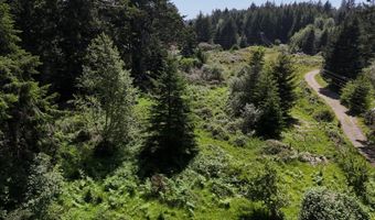 20452 Whaleshead Rd, Brookings, OR 97415