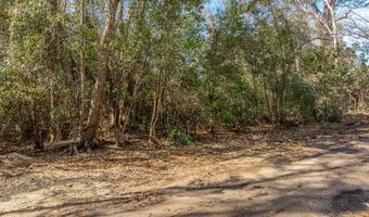 232 23rd Ave Lot L13 14 15/B233, Apalachicola, FL 32320