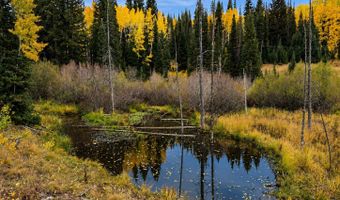 12490 E OLD STAGE Rd, Brighton, UT 84121