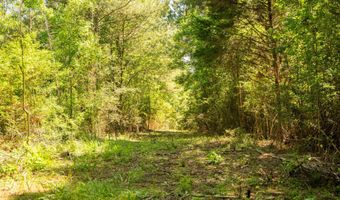 1311 N Jackson St, Brookhaven, MS 39601
