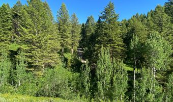 400 GROVER DRY FARM Rd, Afton, WY 83110